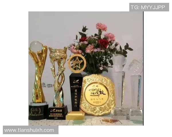 汉堡队奋勇向前:挑战困境,永不言弃 汉堡队奋勇向前:挑战困境,永不言弃