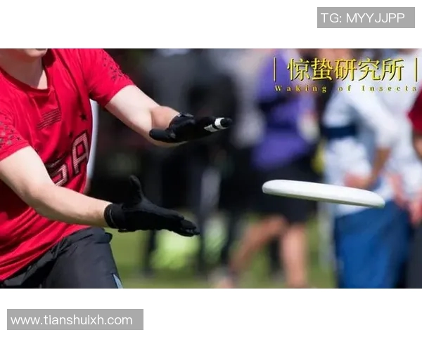 深圳飞盘队与上海飞盘队赛后复盘分析及经验总结